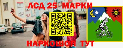 мдпв Владимир