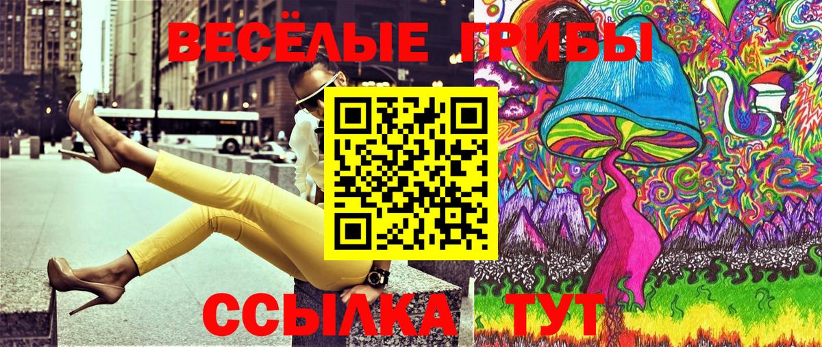 Аргун  Галлюциногенные грибы прущие грибы  Вход с VPN 